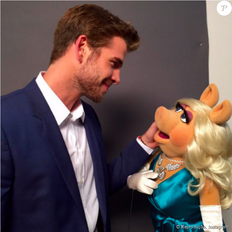 Liam Hemsworth Só Criou Sua Conta No Instagram Em Agosto - Miss Piggy Liam Hemsworth (950x769), Png Download