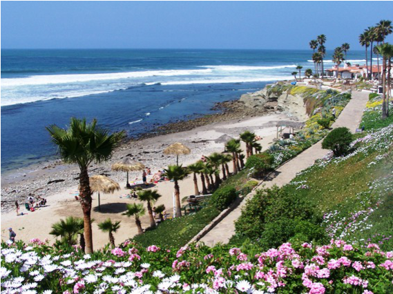 Fabulous Beach Home In Mexico Just 20 Miles South Of - Gaviotas Baja (800x533), Png Download