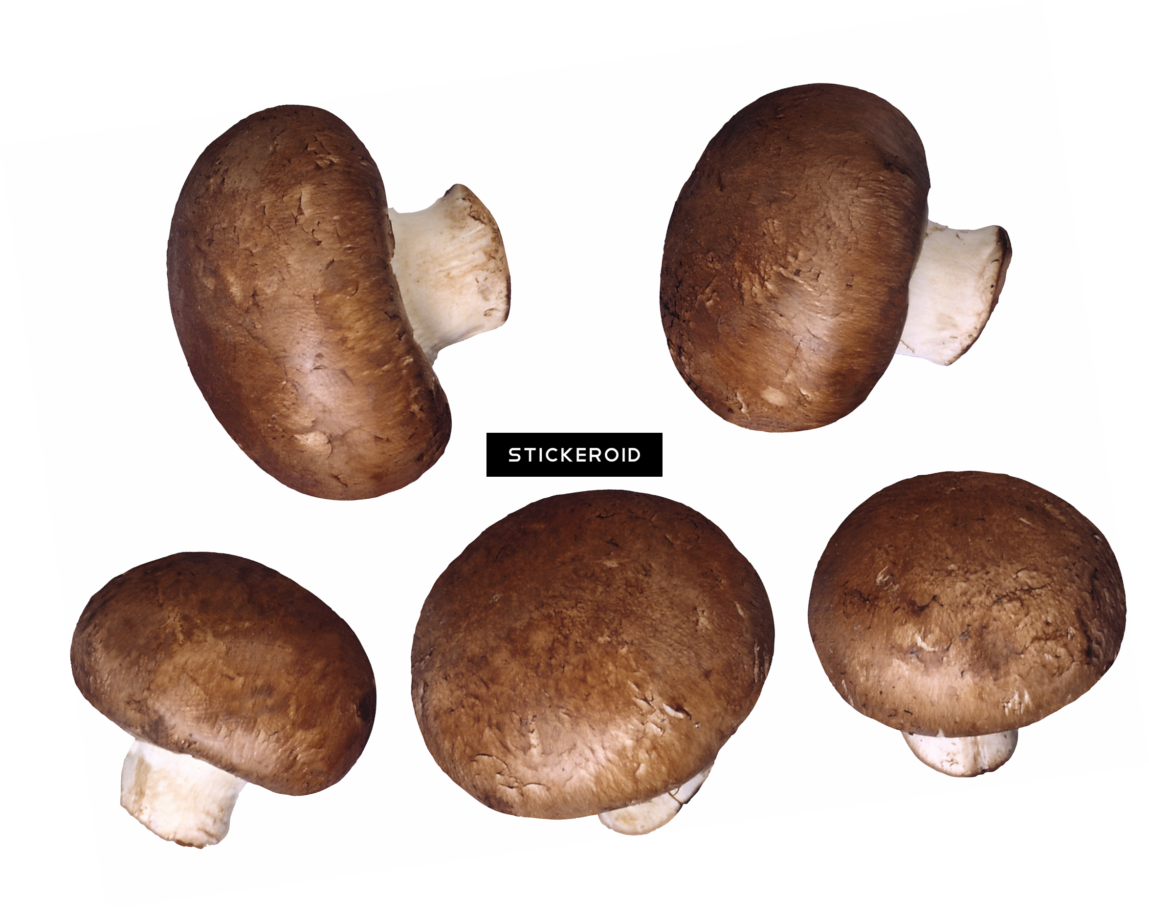Mushroom (2350x1863), Png Download
