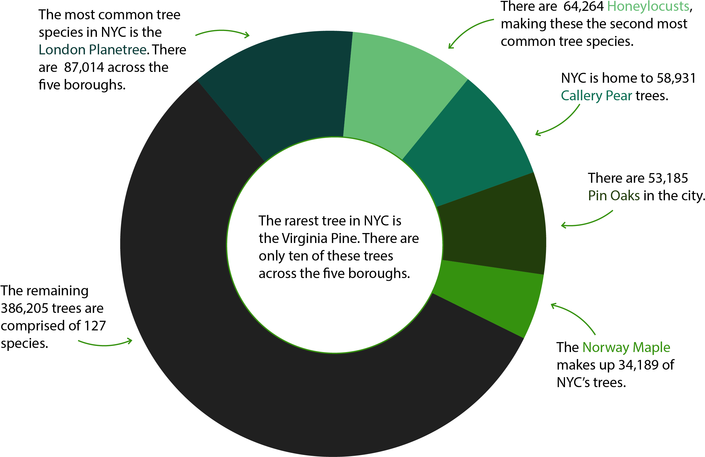 Nyc Tree Species - Circle (2500x1667), Png Download