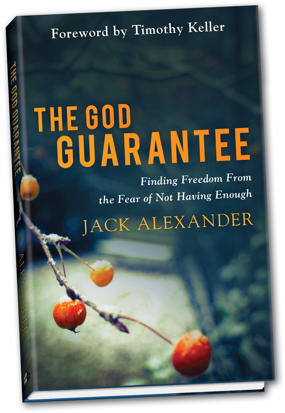 Alexander Thegodguarantee 3d Shadow - God Guarantee By Jack Alexander (1000x1350), Png Download