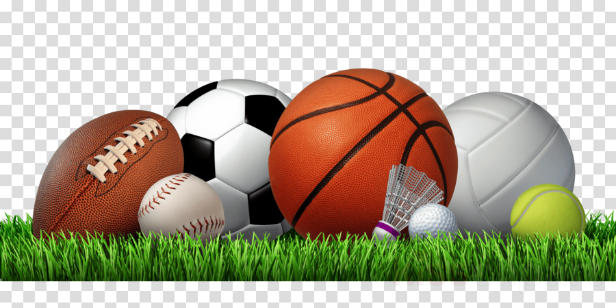 Next Innovations 101411002-sports Sports Three Hook - Next Innovations Sports 5 Hook Coat Rack (900x450), Png Download