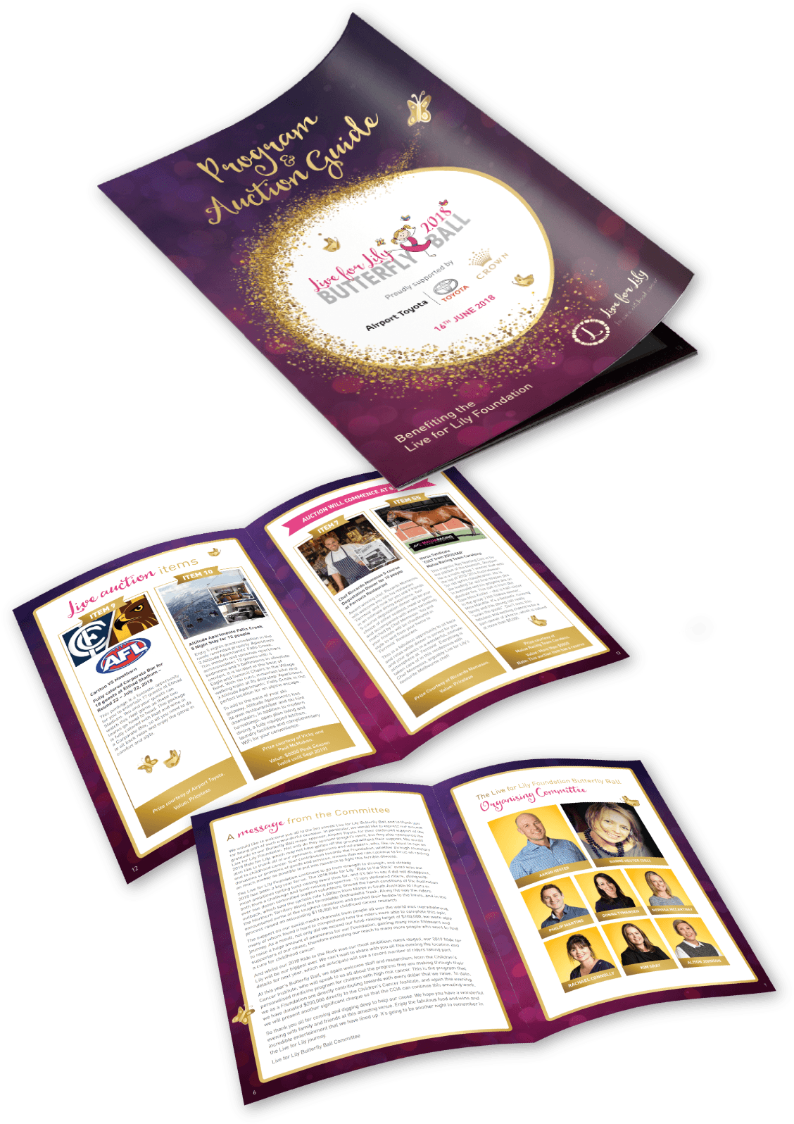 Program And Auction Guide - Document (1200x1671), Png Download