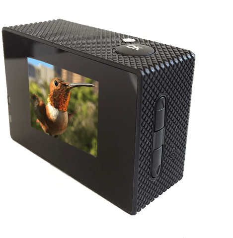 Bird Photo Booth - Computer Case (700x548), Png Download