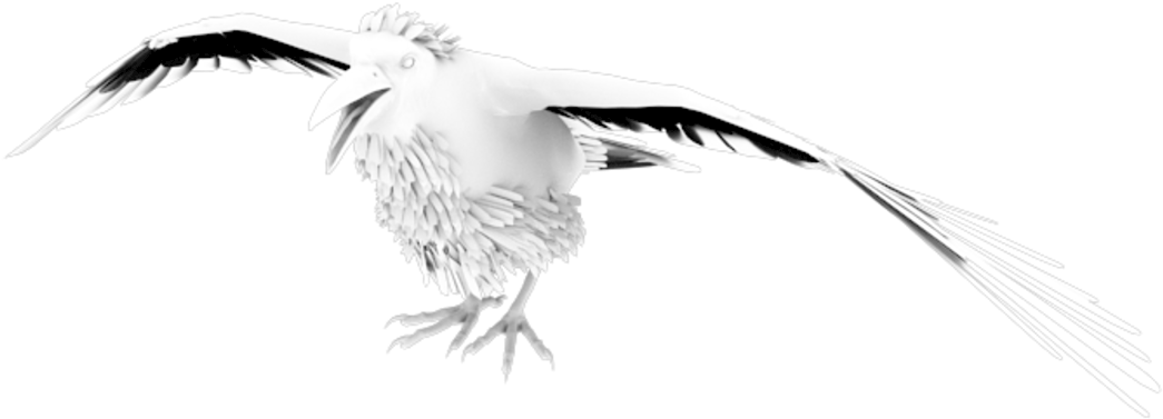 $19 - European Herring Gull (1500x844), Png Download