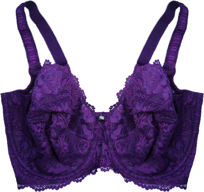 Enhanced Support Serena Lace Bra Crown Jewel Brad04 - Lace (1200x1110), Png Download