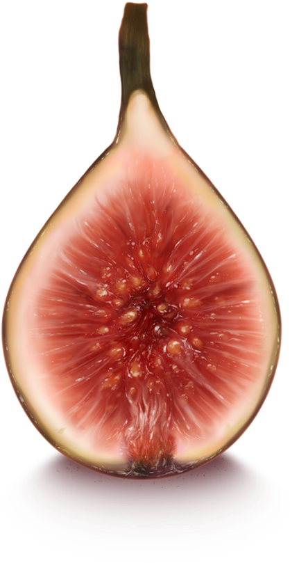 Half Figured - Half-figured (700x875), Png Download