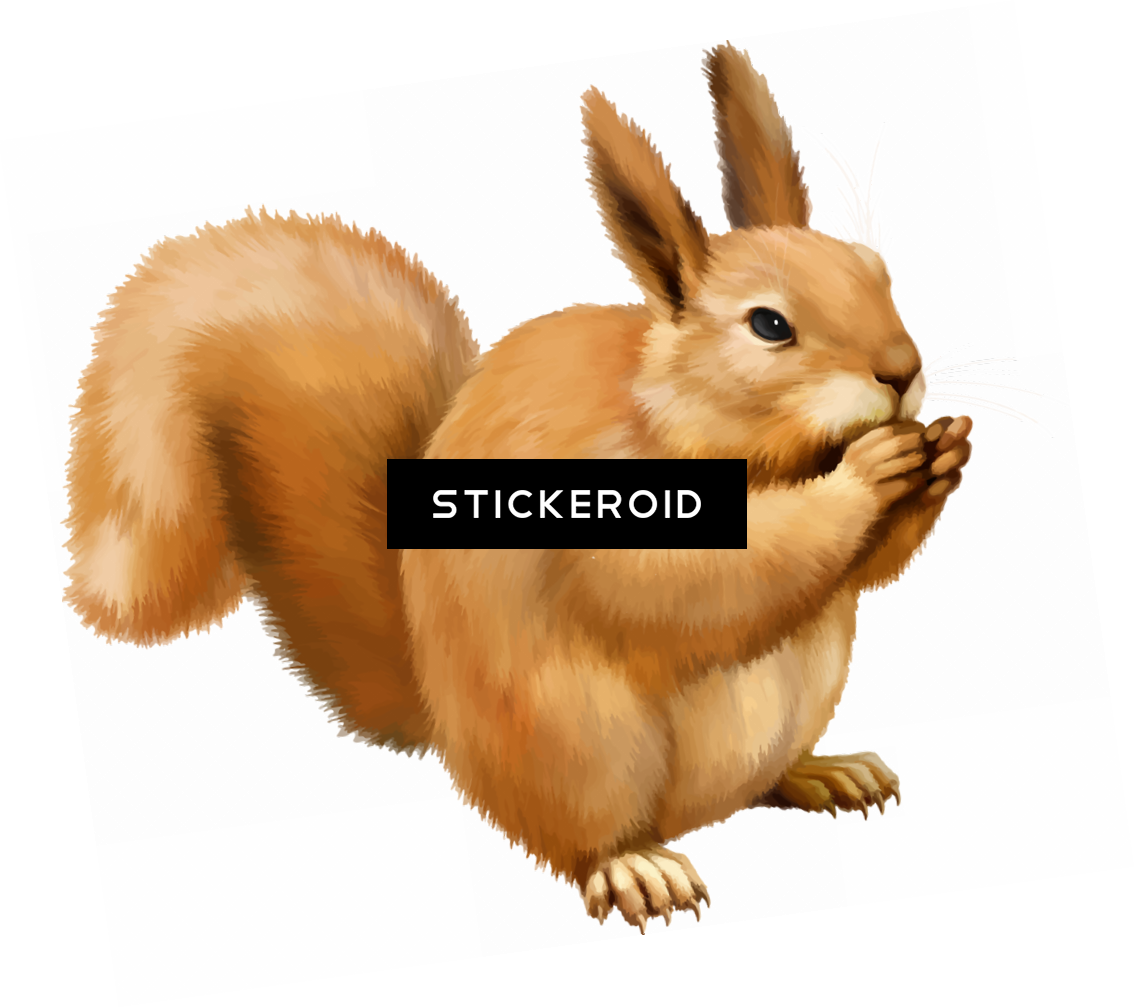 Squirrel - Clip Art (1134x1008), Png Download