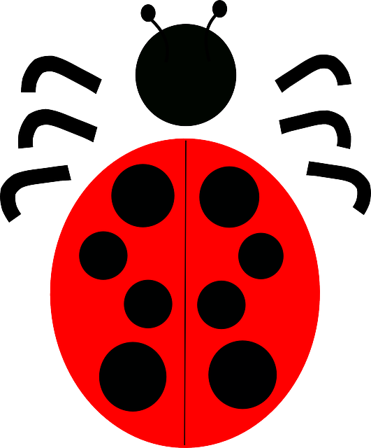 Ladybug Clipart Kumbang - Ladybird Beetle (531x640), Png Download
