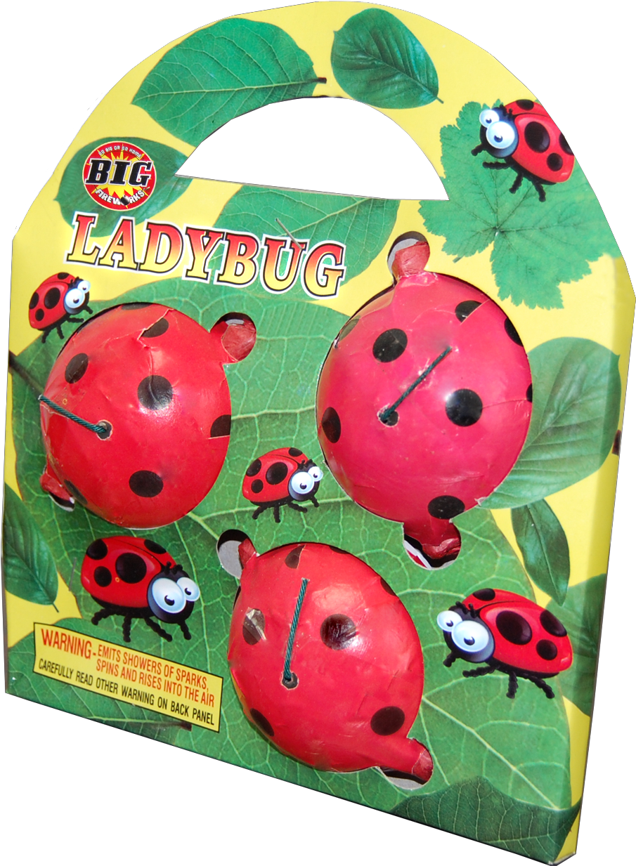 Ladybird Beetle (1667x1250), Png Download