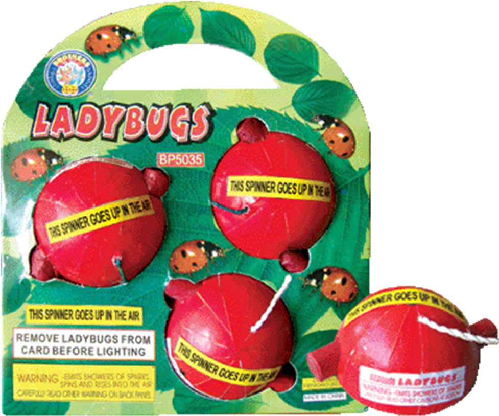 Ladybug Firework (1000x1000), Png Download