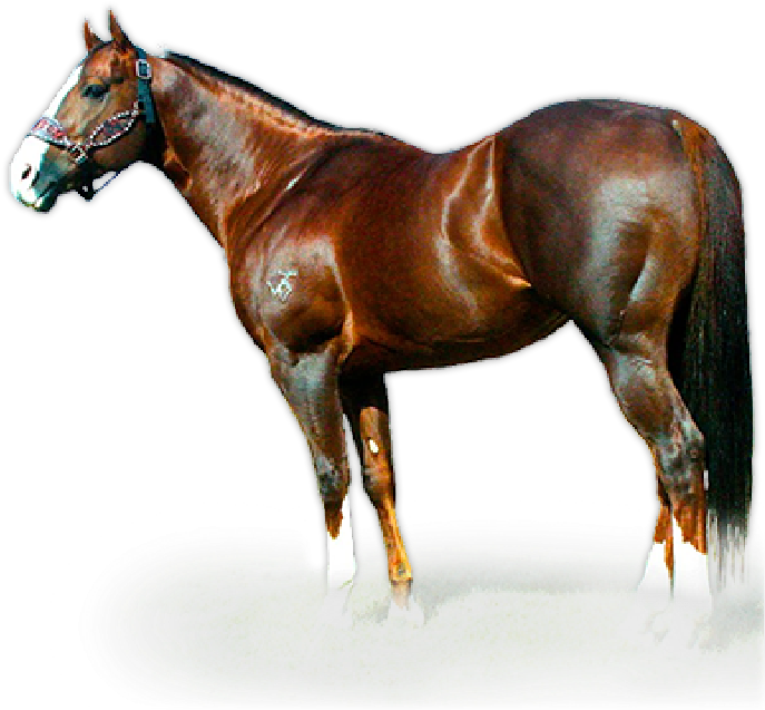 2003 - Cavalo Dash Ta Fame (711x638), Png Download