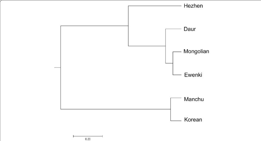 Dendrogram Based On Nei's Genetic Distance - Diagram (850x460), Png Download