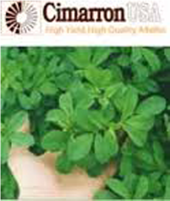 Cimarron Alfalfa Seed - Alfalfa Cimarrona (850x400), Png Download