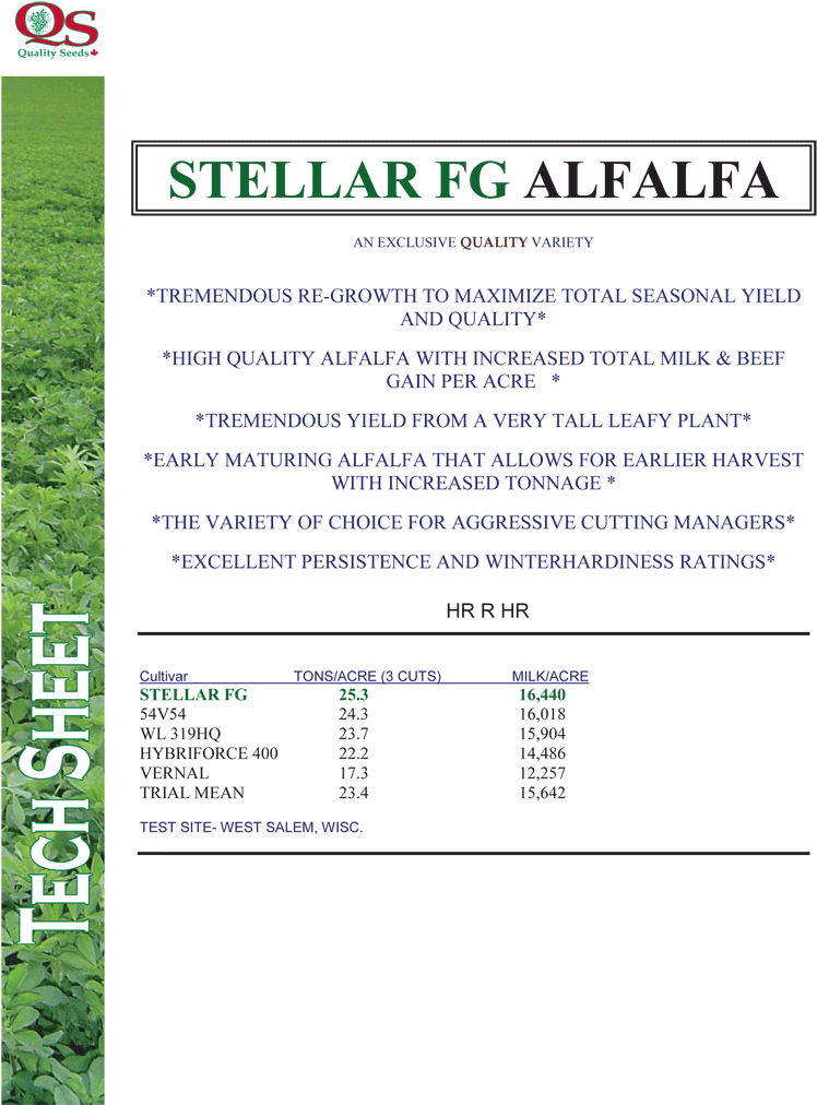 Stellar Fg Alfalfa - Alfalfa (800x1035), Png Download