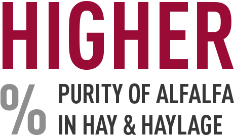 Broadest Application Flexibility - Matthew 25 Ministries Hunger 5k (650x500), Png Download