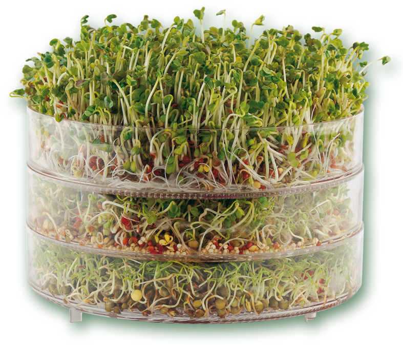 . Vogel Biosnacky Classic Germinator (800x800), Png Download