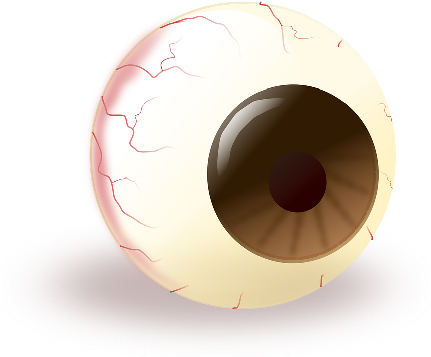 All Sharon's Sites - Funny Eye Png (900x720), Png Download