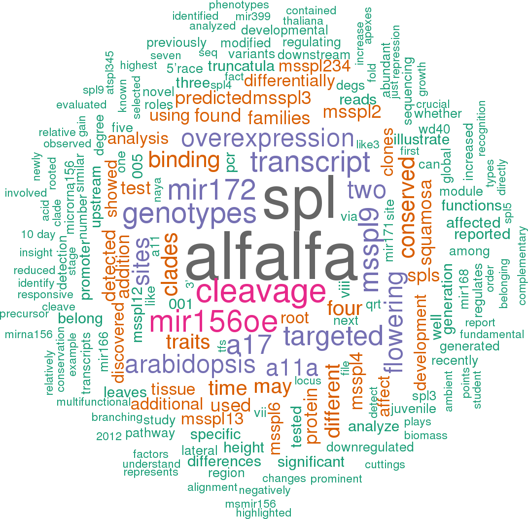 Stem Loop Sequence Mtr Mir156i (1071x1053), Png Download