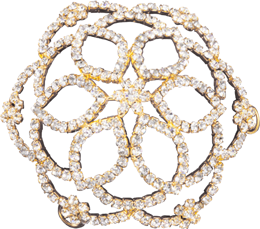 Rhinestone Pointed Petal Hair Bun Cover - Bun (850x850), Png Download