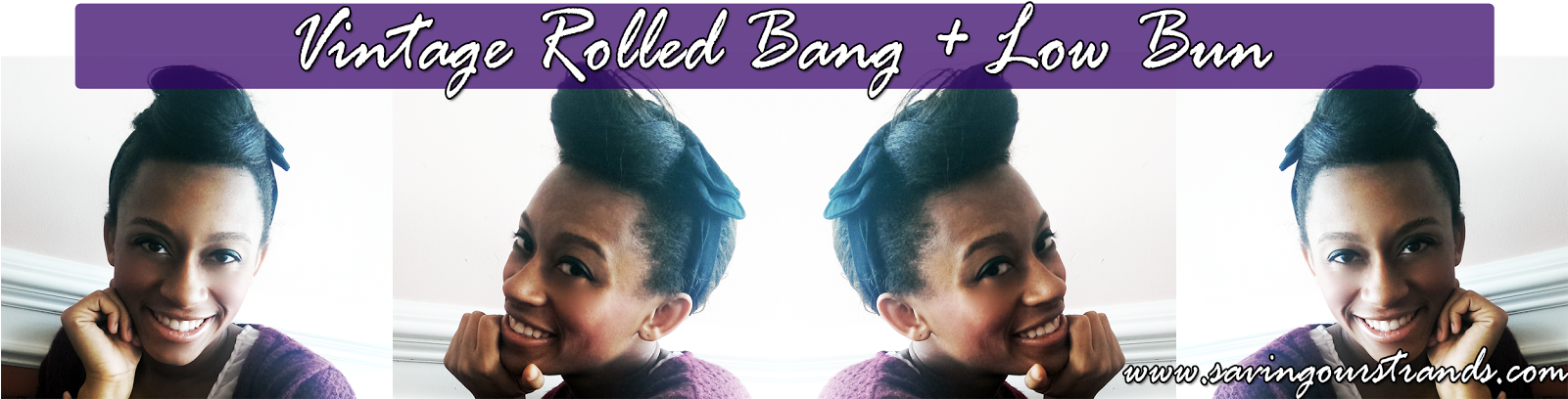 Rolled Bang Low Bun - Pitbull Kennels (1600x420), Png Download