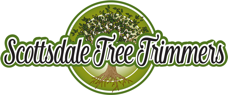 Saguaro Cactus Removal - Graphic Design (904x400), Png Download