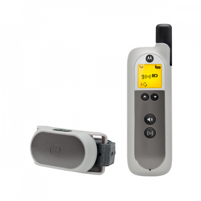 Motorola Scouttrainer50 - Motorola Dog Trainer (700x700), Png Download