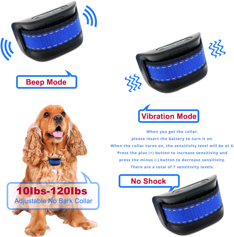 Double Tap To Zoom - Dog (1024x1024), Png Download