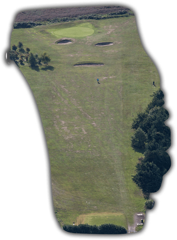 Grass (600x813), Png Download