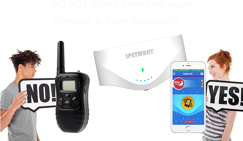 Gps Dog Collar - Autumn (800x526), Png Download