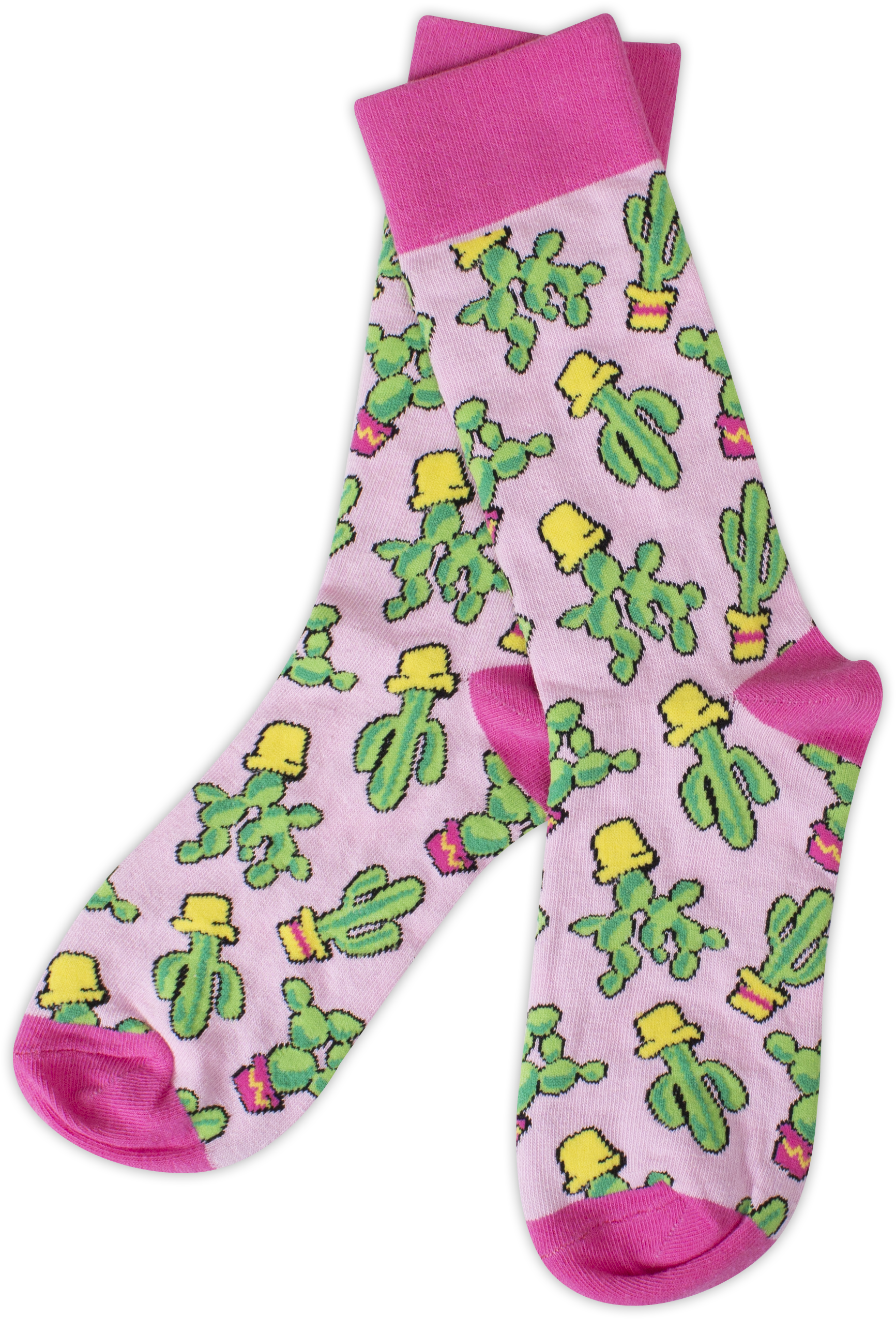 Cactus Socks (1737x2557), Png Download