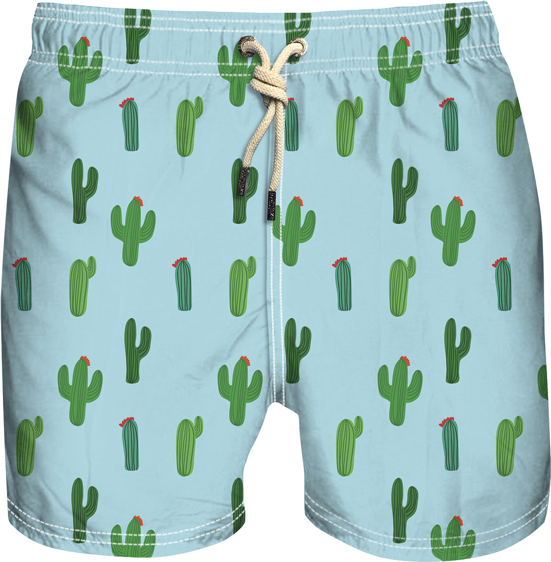 Cactus V=1534219983 - Cactus (1185x1204), Png Download