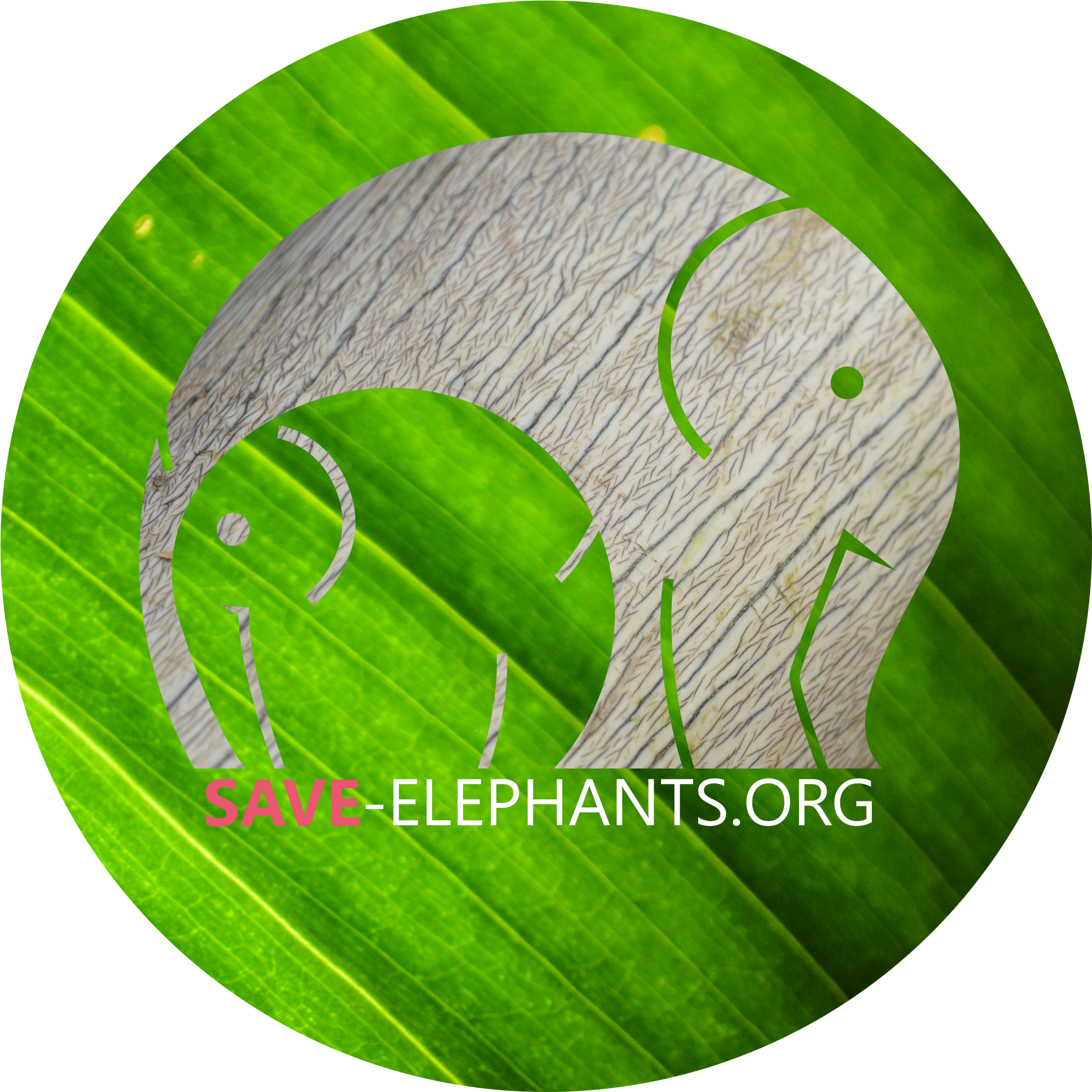 Biking In Northern Congo - Emblem (2708x2568), Png Download