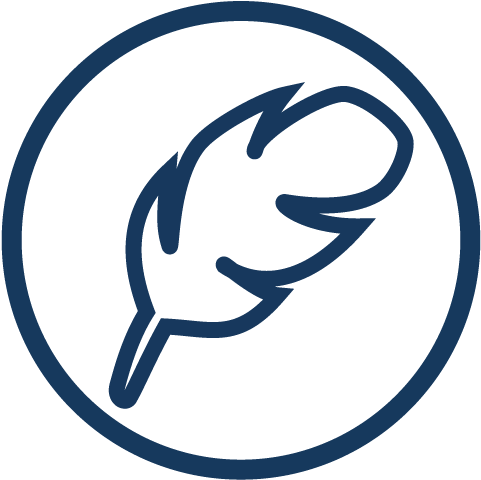 Best Hammocks Ever - Hammock (680x487), Png Download