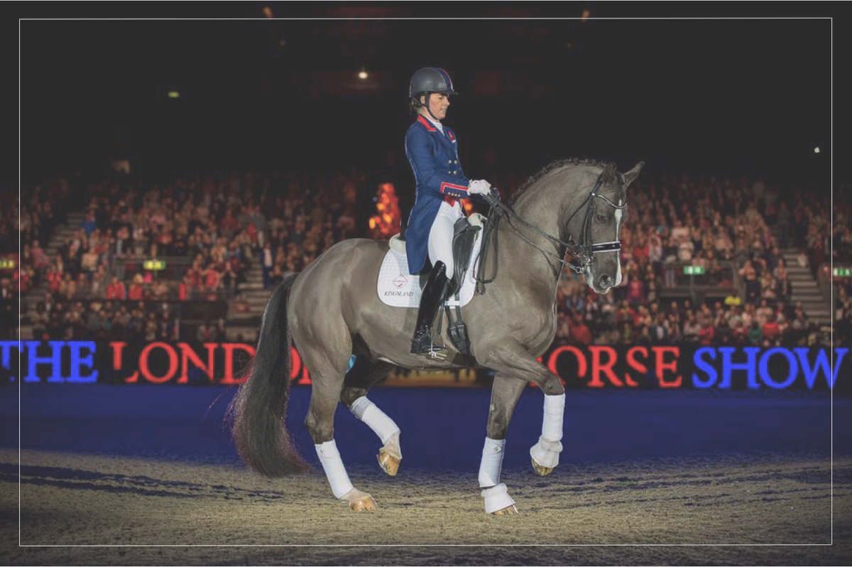 We Wish A Happy Retirement To This Horse In A Million - Charlotte Dujardin Flying Changes Coats (1200x798), Png Download