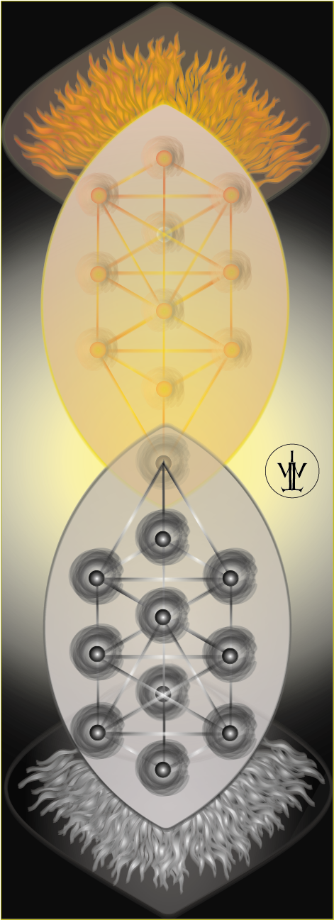 Tree Of Life And Death - Tree Of Life (471x1297), Png Download