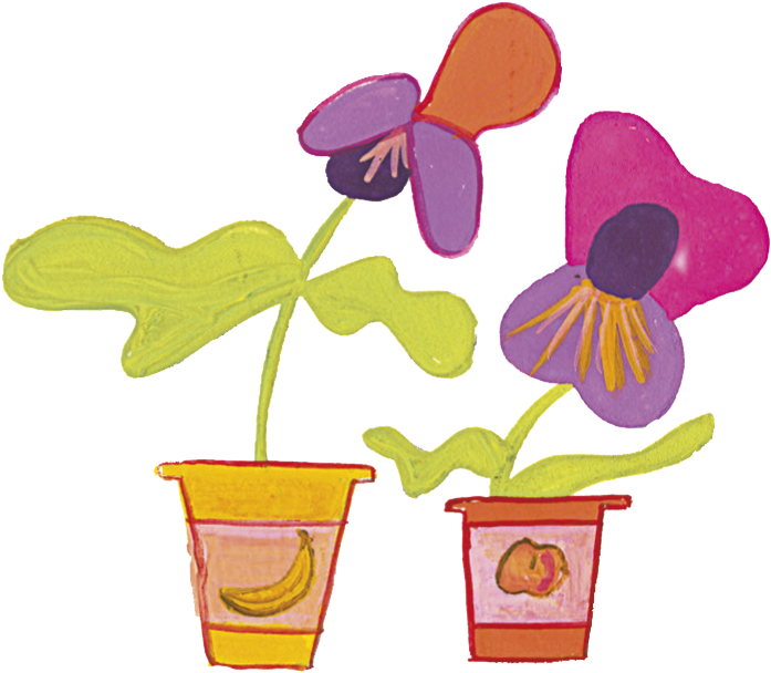 Pansies - Anthurium (732x705), Png Download