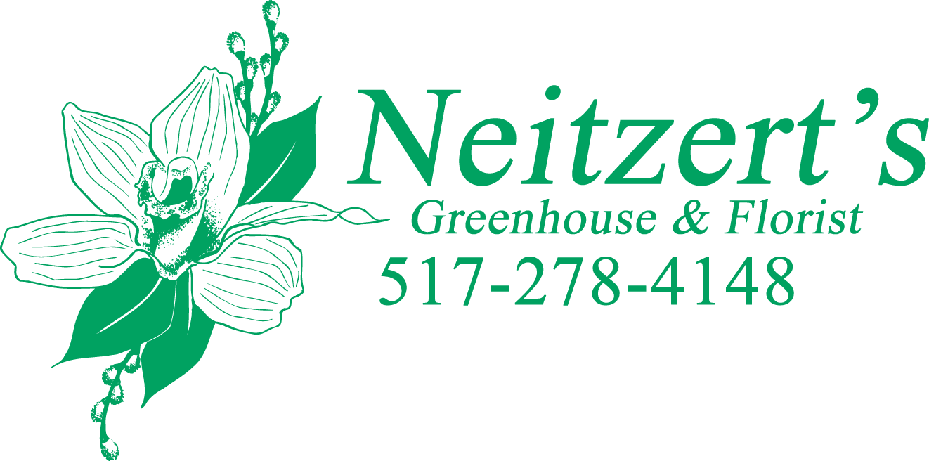 Neitzert's Greenhouse - Neitzerts Greenhouse (1322x656), Png Download
