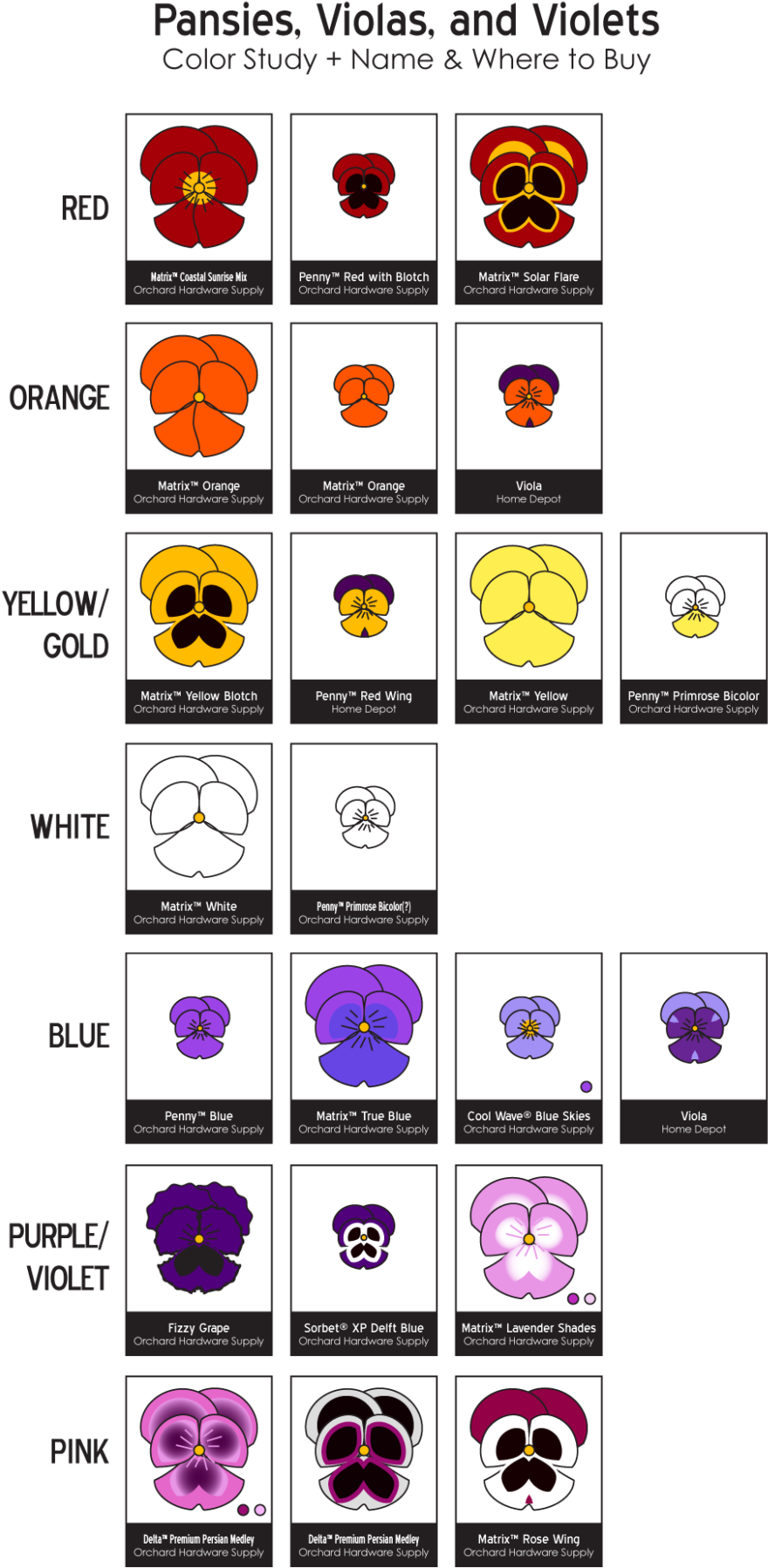 Pansies Png (972x1920), Png Download