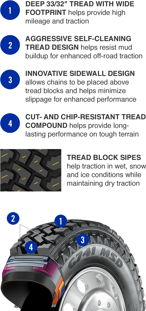Extended Cutaway Features (640x1232), Png Download