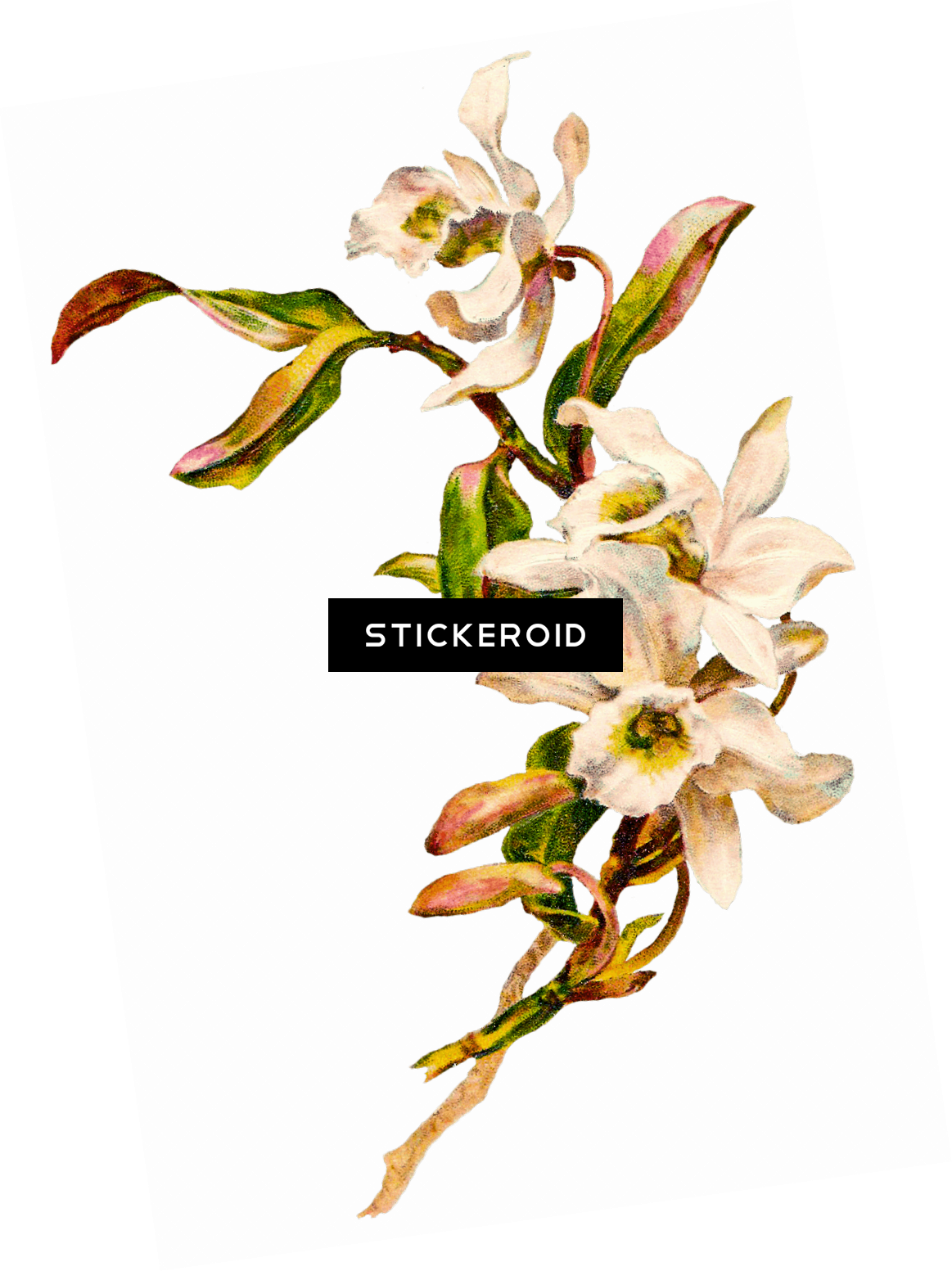 Flowers Bouquet (1163x1553), Png Download