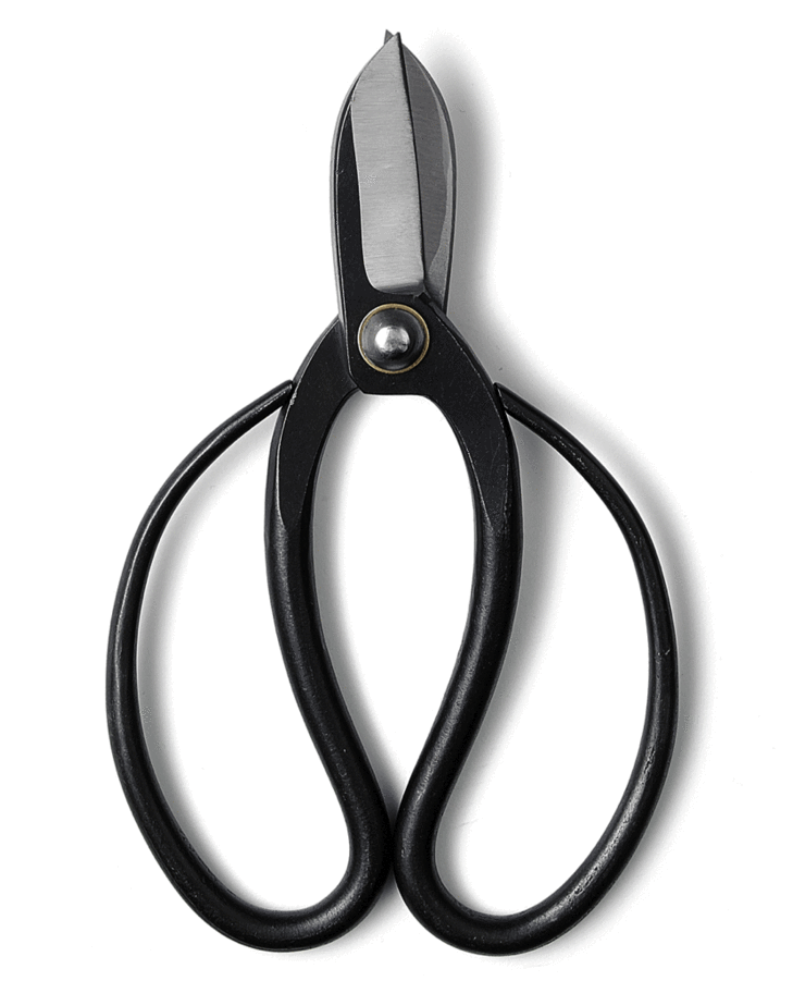 Banshu Hamono, Koryū Flower Scissors, (900x900), Png Download