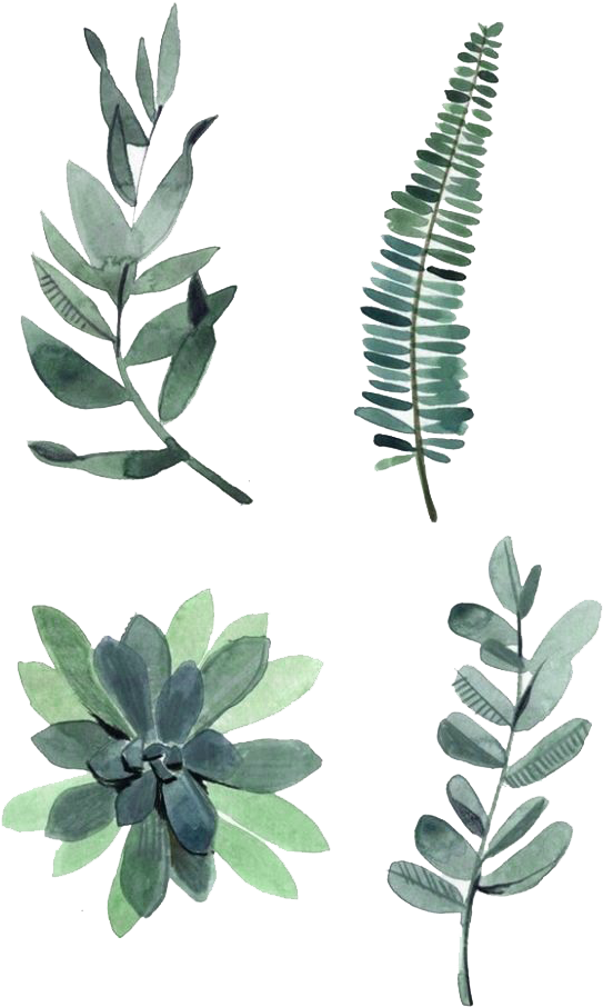 Watercolor Leaves Png Photos (658x940), Png Download