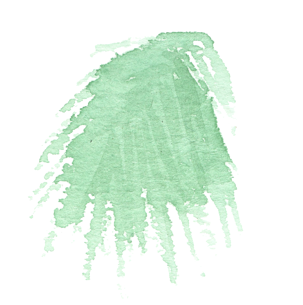 Hand Painted Simple Coniferous Leaves Watercolor Transparent - Watercolor Painting (1024x988), Png Download