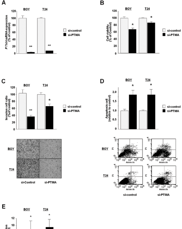 Loss Of Function Study, Apoptosis Assay, And Caspase-3/7 - Diagram (850x805), Png Download