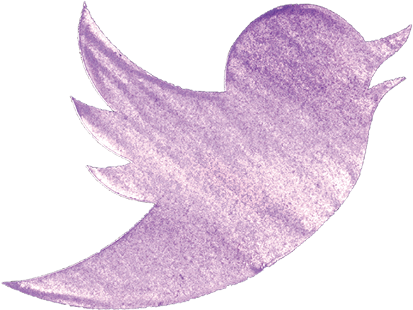 Gull (3000x2000), Png Download