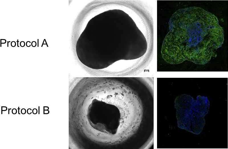 Figure 1 Icrs Seq - Portable Network Graphics (825x522), Png Download