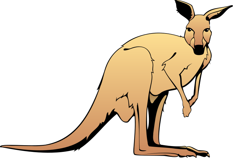 Kangaroo Animal Clipart Free Images - Kangaroo Clipart (800x543), Png Download