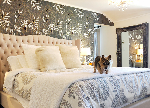 Monkeys At Midnight Monkeys, Spider, Rompers, Spiders, - Spider Monkey (600x600), Png Download