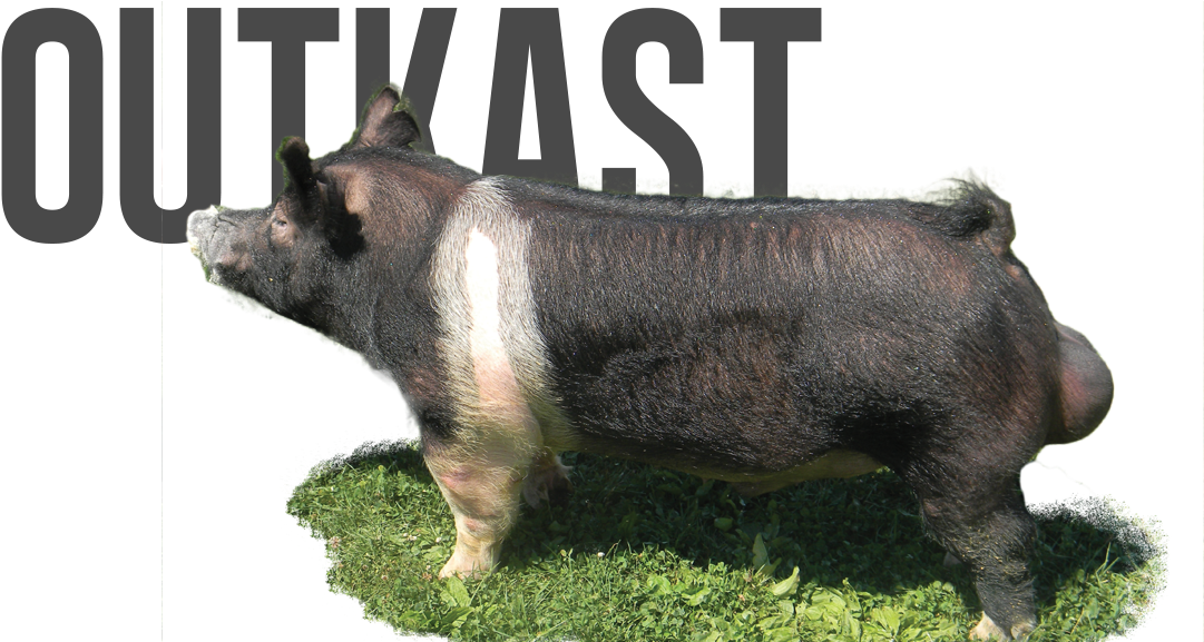 Outkast - Domestic Pig (1131x576), Png Download